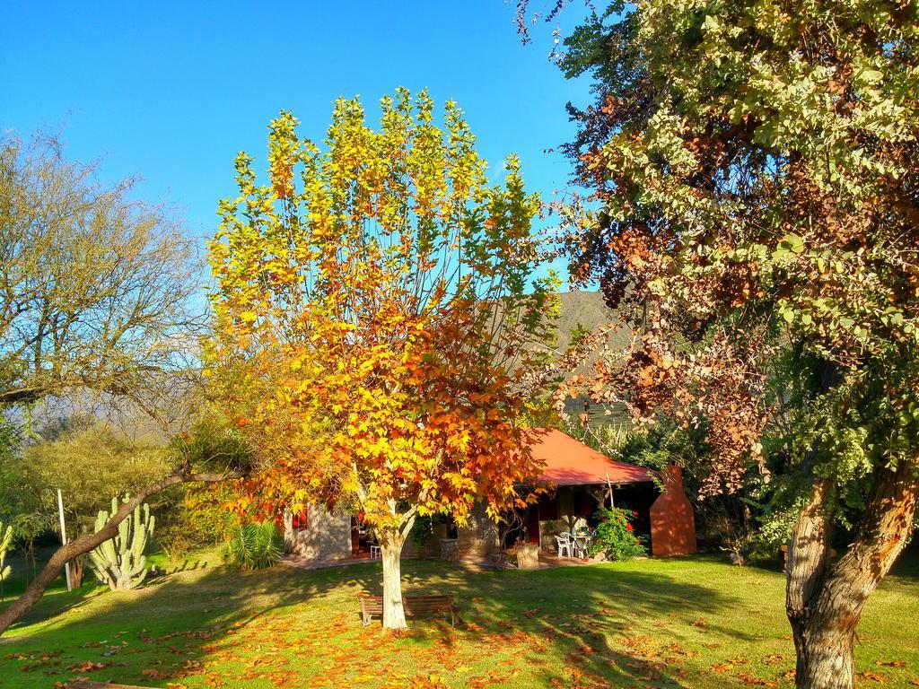Cabanas Altos Del Velazco La Rioja Buitenkant foto